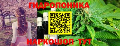 гидра Апшеронск