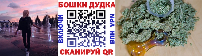 где купить наркоту  Белогорск  Конопля сатива 